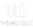 WiseBand