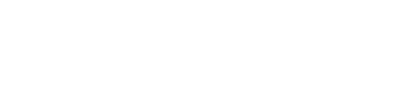 Bridge_Logo-White-1